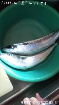 ���ʥ�����