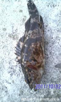 ¥¿¥±¥Î¥³¥á¥Ð¥ë