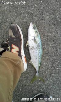 ���ʥ���