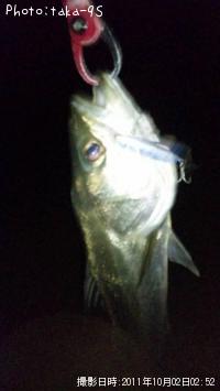 �����Х�