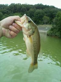 ¥Ö¥é¥Ã¥¯¥Ð¥¹