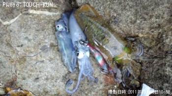 ¥¢¥ª¥ê¥¤¥«