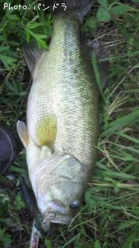 �֥�å��Х�