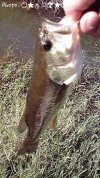 ¥Ö¥é¥Ã¥¯¥Ð¥¹