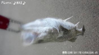 �����Х�