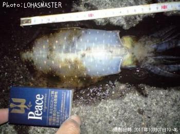 �����ꥤ��