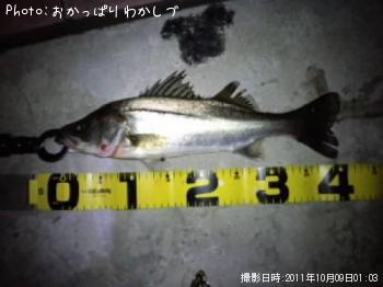 �����Х�