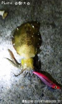 �����ꥤ��