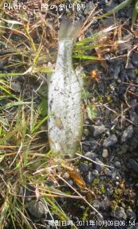 �֥�å��Х�