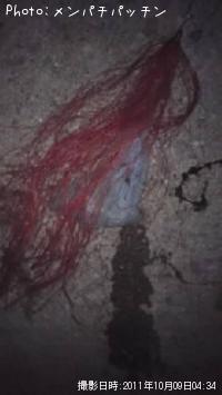 ¥¢¥ª¥ê¥¤¥«