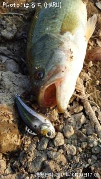 ¥Ö¥é¥Ã¥¯¥Ð¥¹