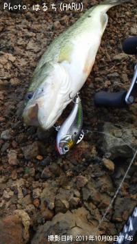 ¥Ö¥é¥Ã¥¯¥Ð¥¹