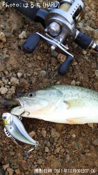 ¥Ö¥é¥Ã¥¯¥Ð¥¹