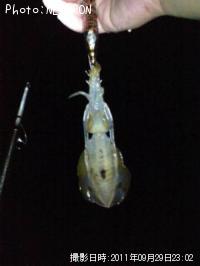 �����ꥤ��