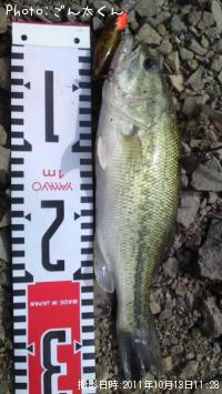 ¥Ö¥é¥Ã¥¯¥Ð¥¹