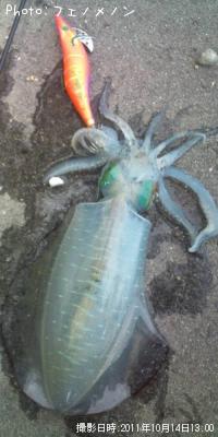 �����ꥤ��