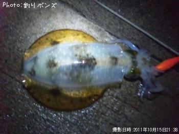 ¥¢¥ª¥ê¥¤¥«