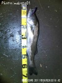 �����Х�