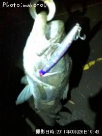 �����Х�