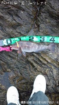 �����ʥ�