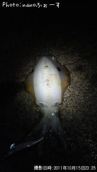 �����ꥤ��