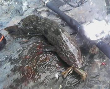 �����ʥ�