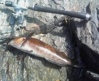 �����ʥ�