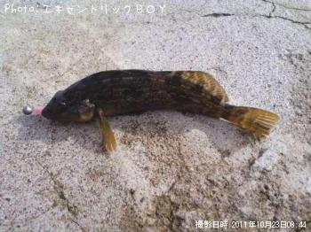 �����ʥ�