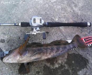 �����ʥ�