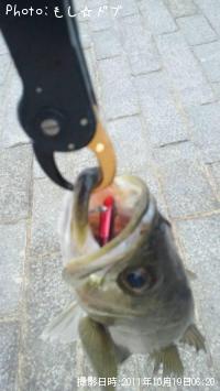 �����Х�