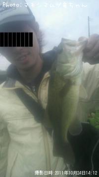 �֥�å��Х�