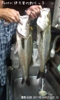 �����Х�