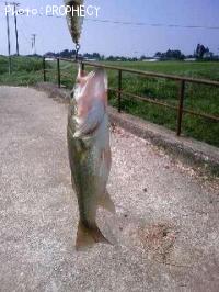 ¥Ö¥é¥Ã¥¯¥Ð¥¹