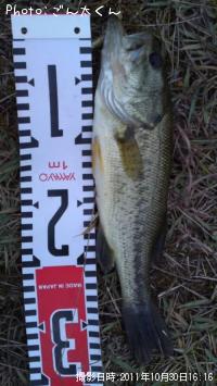 �֥�å��Х�