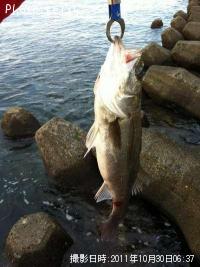 �����Х�