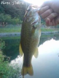 �֥�å��Х�