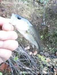 �֥�å��Х�