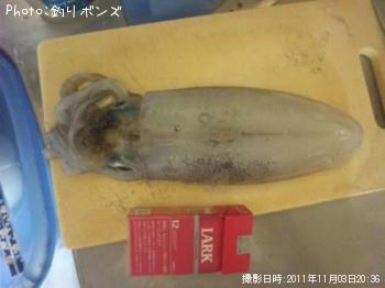 �����ꥤ��