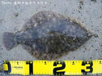 �ޥ����쥤