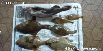 ¥¢¥¤¥Ê¥á¥«¥ì¥¤