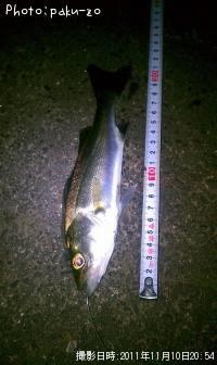 �����Х�