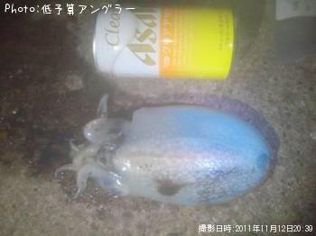 ����䥱����