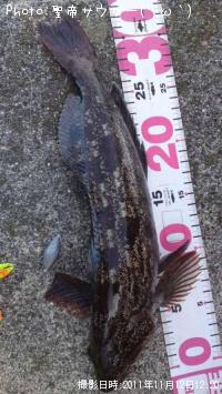 �����ʥ�