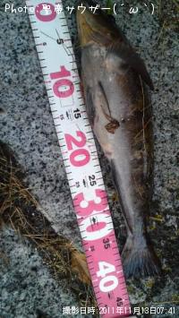 �����ʥ�