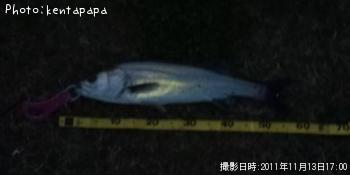 �����Х�