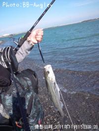 �����Х�