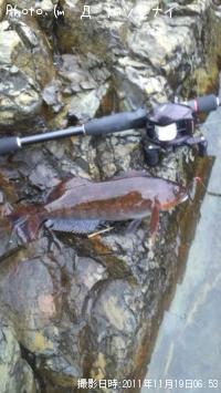 �����ʥ�