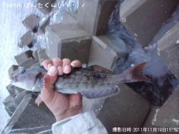 �����ʥ�