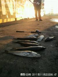 �����Х�