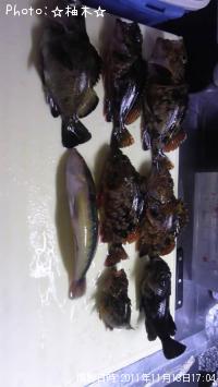 ����������Х롡���奦����